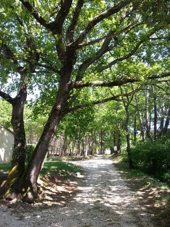Camping Parc Saint Sauvayre Vagnas ภายนอก รูปภาพ